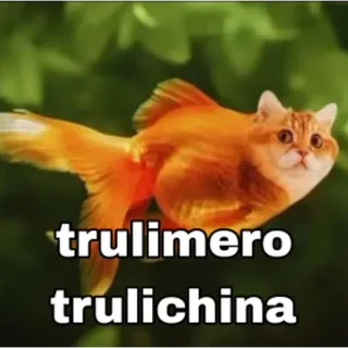 😺 trulimero
trulichina 猫, 鱼, 搞笑, 动物, 混血, 表情包 telegram sticker