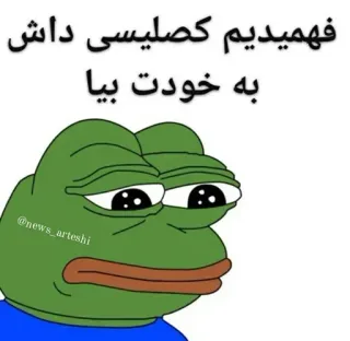 🐸 Pepe the Frog فهمیدیم کصلیسی داش
به خودت بیا pepe, sapo, meme, cultura da internet, desenho animado, animal whatsapp sticker