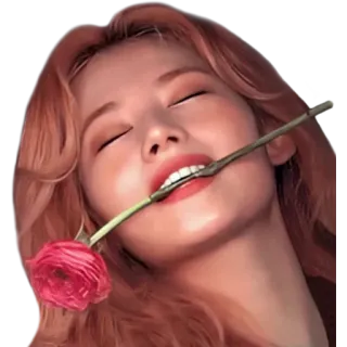 🌹 retrato, mulher, flor, rosa, beleza, olhos fechados telegram sticker