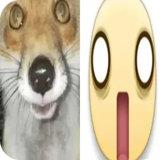 🦊 狐狸, 表情符号, 震惊, 梗, 搞笑 telegram sticker