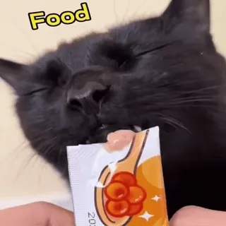 😼 Food mèo, thức ăn, ăn, động vật, thú cưng, mèo đen, đồ ăn vặt telegram sticker