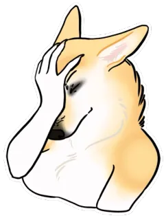 😖 Doge doge, meme, facepalm, anjing, kecewa telegram sticker