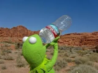 💧 Kermit the Frog Kermit, rana, bere, acqua, deserto telegram sticker