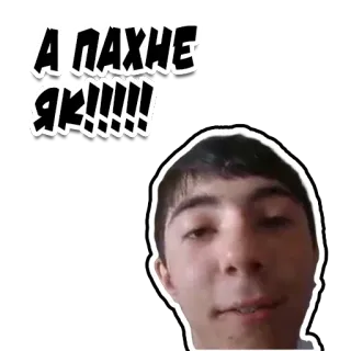 👌 А ПАХНЕ ЯК!!!!! telegram sticker