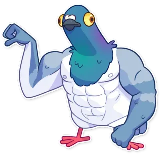 💪 นกพิราบ, นก, กล้ามเนื้อ, การ์ตูน, ตลก, แข็งแรง, สัตว์ telegram sticker