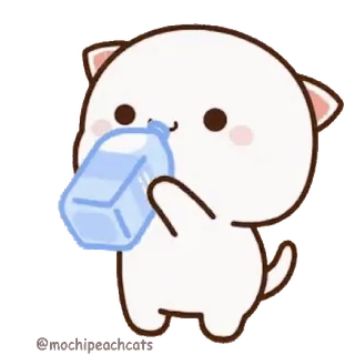 🥤 gato, bebiendo, agua, lindo, dibujos animados, animal, kawaii telegram sticker