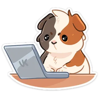 ⌨️ conejillo de indias, animal, ordenador, portátil, lindo telegram sticker