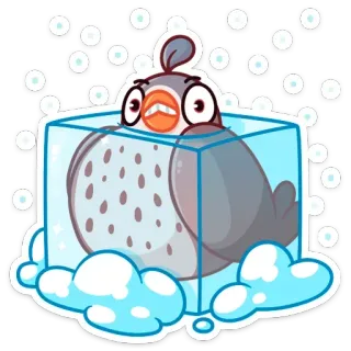 🐦 ptak, lód, zimno, zamrożony, kreskówka, śnieg telegram sticker