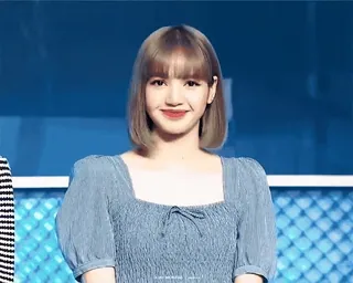 🏵 Lisa kpop, cantante, lisa, moda, stile, ritratto, idolo telegram sticker