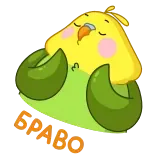 👏 SLEEPING sleeping, bird, cute, cartoon telegram sticker