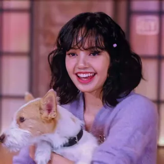 💘 Lisa penyanyi, idola, anjing, binatang, selebriti, senyum, hewan peliharaan whatsapp sticker