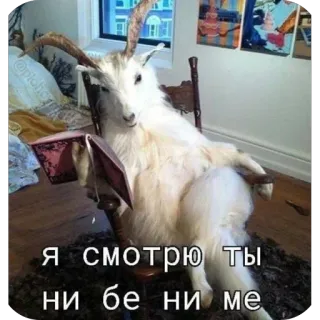 🫥 я смотрю ты ни бе ни ме telegram sticker