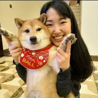 ❤️ BALL dog, shiba inu, pet, woman, smile, cute telegram sticker