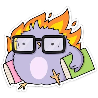 🤓 นกฮูก, ไฟ, หนังสือ, แว่นตา, การ์ตูน, สติกเกอร์, ปุย telegram sticker