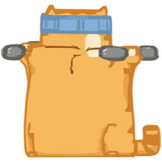 🏋️‍♀️ cat, cool, glasses, orange, sticker telegram sticker