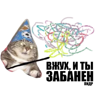 ✨ telegram sticker