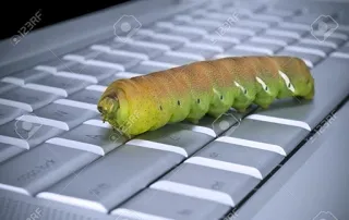 🐛 cacing, ulat, keyboard, komputer, serangga, hewan, makro telegram sticker