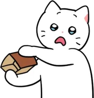 💬 猫, 哭, 伤心, 卡通, 动物, 难过 whatsapp sticker