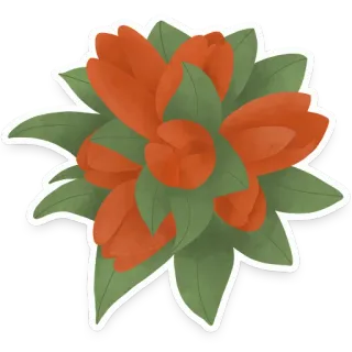 🌷 flowers, bouquet, tulips, floral, garden telegram sticker
