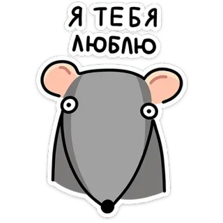 ❤ Я ТЕБЯ ЛЮБЛЮ หนู, ความรัก, สัตว์, การ์ตูน, น่ารัก, รัสเซีย, ข้อความ telegram sticker
