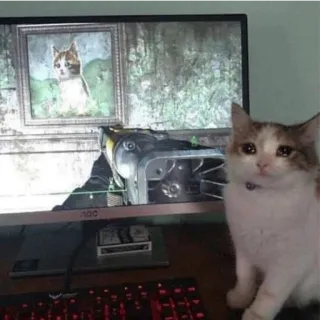 😭 kucing, video game, komputer, sedih, hewan peliharaan, monitor telegram sticker