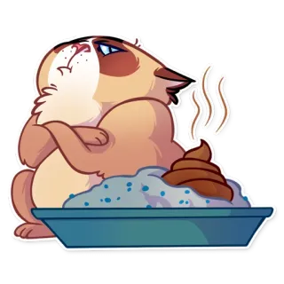 💩 gato, cocô, animal de estimação, animal, engraçado, desenho animado, rabugento whatsapp sticker