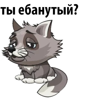 😱 Ты ебанутый? 猫, ミーム, ロシア, 攻撃的, 動物 telegram sticker