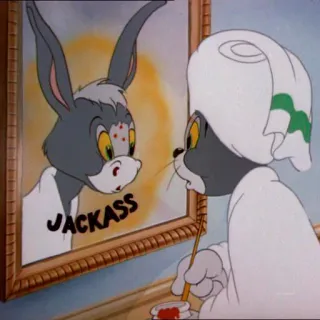 🐴 Tom Cat Tom and Jerry JACKASS cartoon, cat, mirror, insult, donkey, text, funny telegram sticker