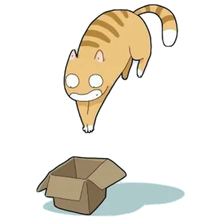 😶 gato, caixa, animal, desenho animado, brincalhão, fofo, engraçado whatsapp sticker