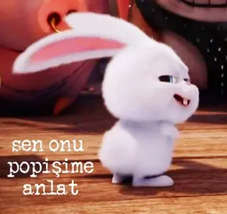 😏 sen onu popişime anlat 토끼, 귀여운, 동물, 토끼 whatsapp sticker