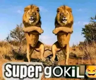 😚 Super gokil whatsapp sticker