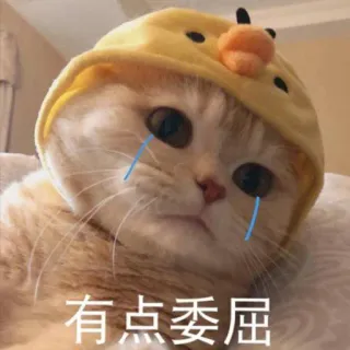 😭 有点委屈 gato, llorando, triste, animal, gatito, lindo telegram sticker