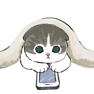 🐱 chat, chaton, téléphone, mignon, animal telegram sticker