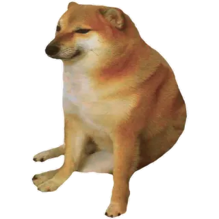 😢 Cheems doge, cane, meme, cheems, animale telegram sticker