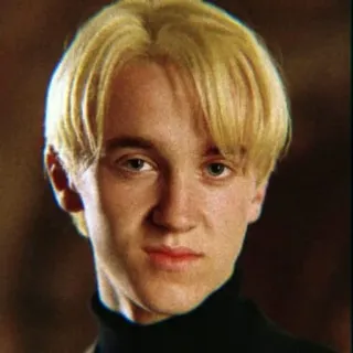 🐍 Draco Malfoy Harry Potter Draco Malfoy, Harry Potter, Tom Felton, Slytherin, blond, Zauberer whatsapp sticker