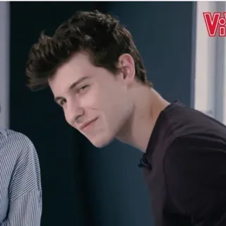 😏 Shawn Mendes celebrity, singer, portrait, man telegram sticker