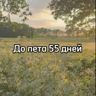 ☀️ До лета 55 дней naturaleza, verano, campo, hierba, puesta de sol, cuenta atrás telegram sticker