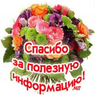 🍄 Спасибо за полезную информацию! flowers, thank you, gratitude, information, bouquet telegram sticker