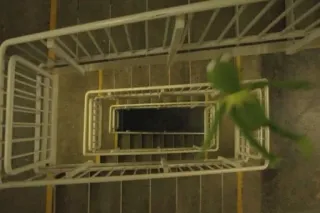 ⚰️ Kermit Kermit la rana, cayendo, escaleras, muppet, verde telegram sticker
