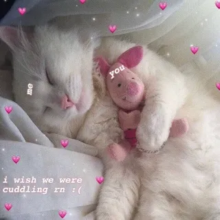Kawaii_Kawaii @IMG2D whatsapp stickers