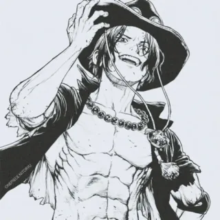😏 Portgas D. Ace One Piece ONEPIECENLTORKU Anime, One Piece, Portgas D Ace, Pirate, Manga, Personnage telegram sticker