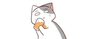 🤔 gato, bebendo, meme, engraçado, adesivo, desenho animado telegram sticker