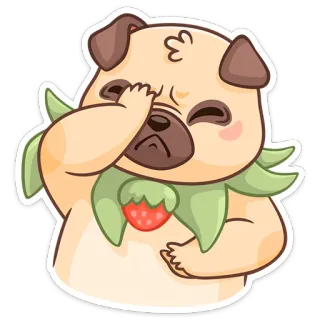 🤦‍♀️ 개, 퍼그, 딸기, 귀여운, 동물 telegram sticker