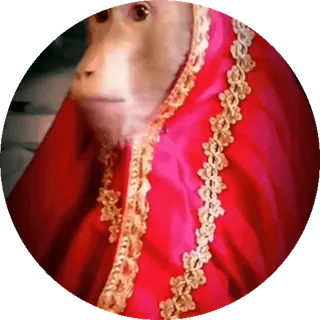 Больше стиков тут: @stikery4 whatsapp stickers
