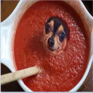 🐶 perro, sopa, comida, animal, chihuahua, humor telegram sticker