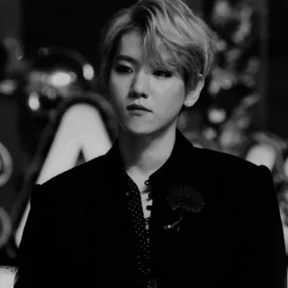 ✖️ kpop, idole, chanteur, portrait, noir et blanc, homme, exo, baekhyun telegram sticker