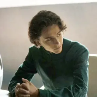 😐 Paul Atreides Dune Dune, Paul Atreides, Timothée Chalamet, movie character, science fiction telegram sticker