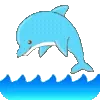 🐬