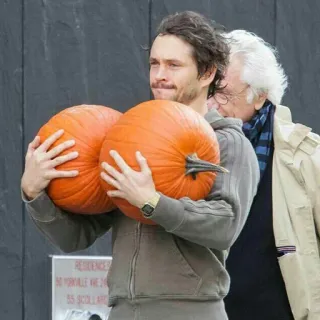 🎃 Kürbisse, Herbst, Herbst, Halloween, Mann, tragen telegram sticker
