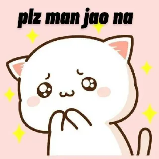 🙏 plz man jao na gato, lindo, rogando, brillos, suplicante whatsapp sticker